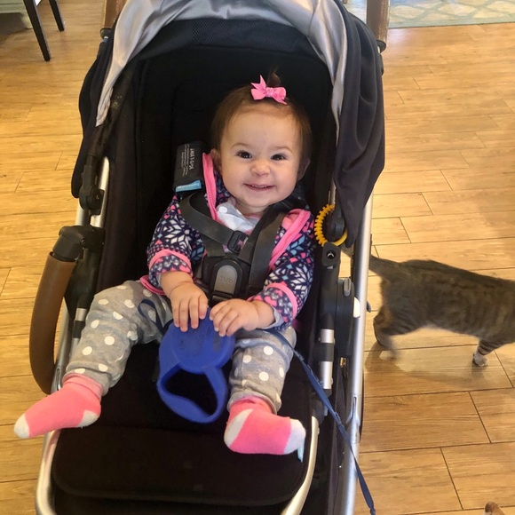 Greetings From South Florida ☀️❤️🌴 - Picture 8 of 8